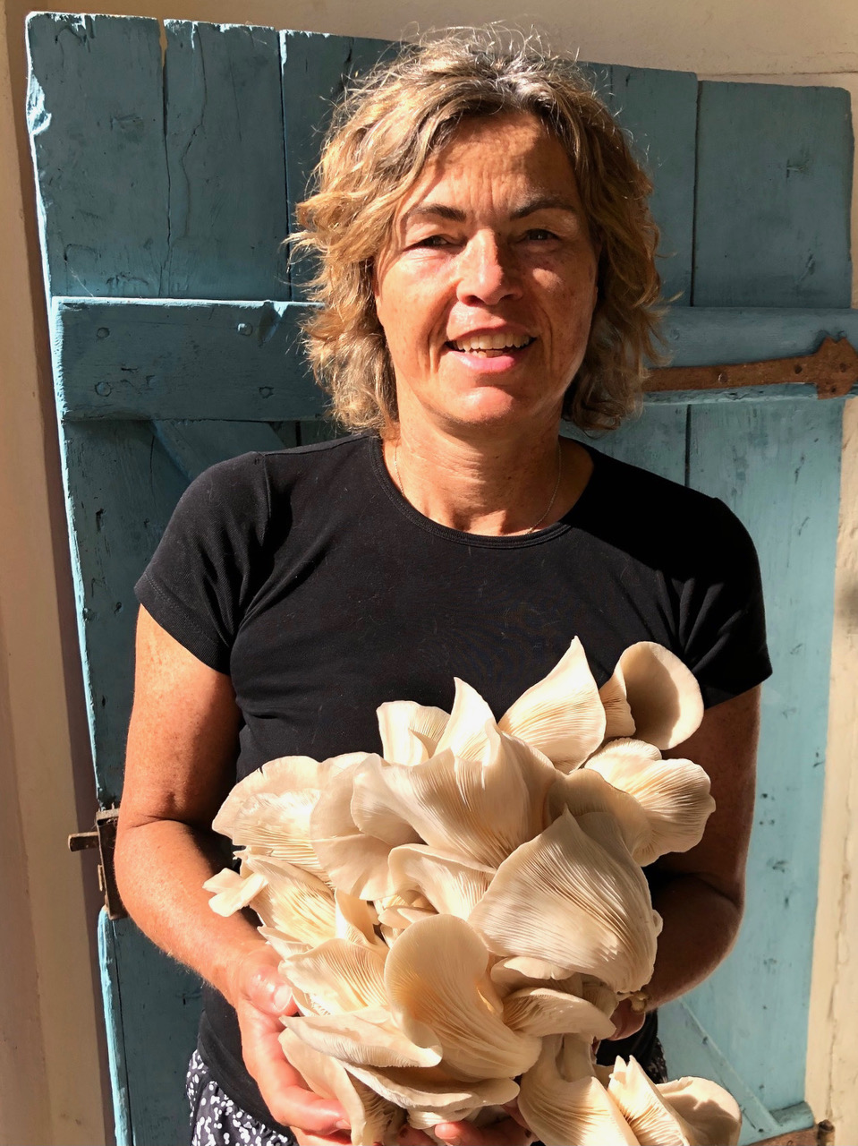 Best Of Weinviertel-Manufaktur: Das Glückspilz Austernseitling Pesto – Bild 3